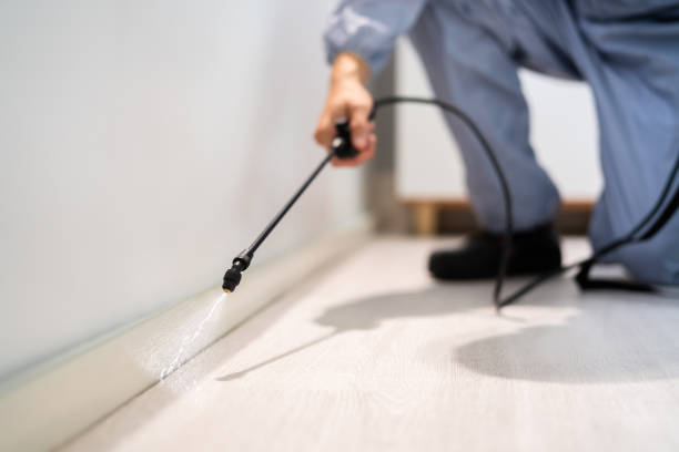 Licensed Pest Control service in North Shore, VA - Show Me Pest Control