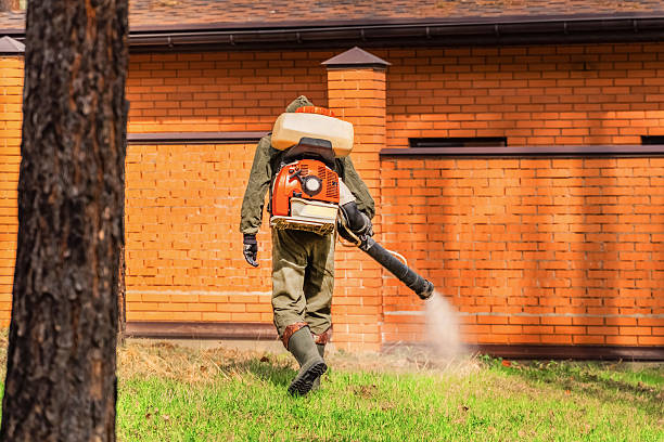 Top rated local Mosquito Control specialists in North Shore, VA